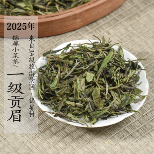 新茶2025年清明前锦屏小菜茶一级贡眉 高山小白土茶政和白茶