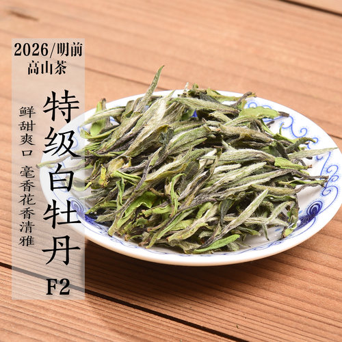 新茶预售 2026年头春高山特级白牡丹F2 高品质清明前政和白茶