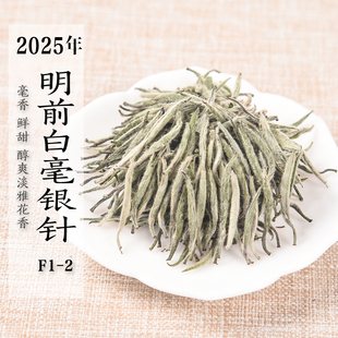新茶 2025年明前白毫银针F1-2  毫香甜香花香银针 政和白茶