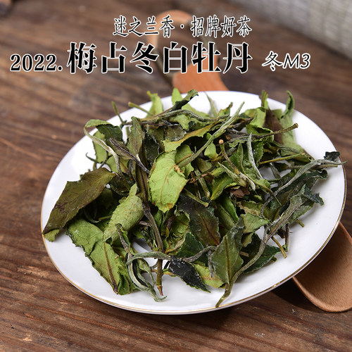 独特花香白牡丹梅占冬茶