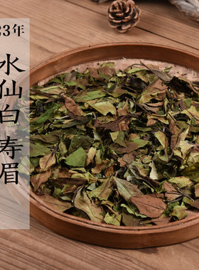 2023年早春高山水仙白寿眉