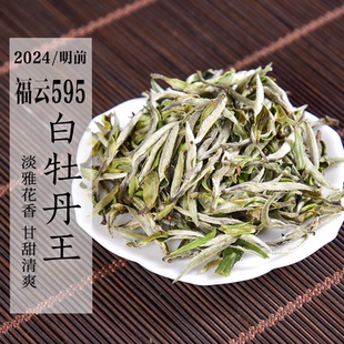 新茶2024年清明福云595品种白牡丹王 特级白牡丹高品质政和白茶
