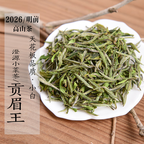 新茶2026年清明前澄源小菜茶贡眉王 高山小白土茶政和白茶
