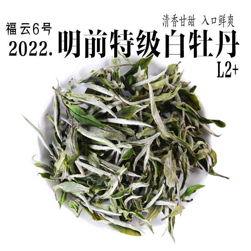 东和茗特级白牡丹物美价廉