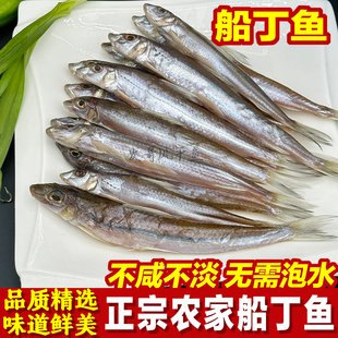 风吹船丁鱼丁公鱼棍子鱼阳干鱼农家淡水鱼渔民自晒淡口特色美味