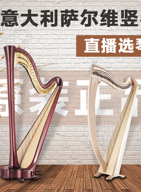 【质保无忧】正品意大利萨尔维salvi竖琴乐器 初学者音乐会竖琴