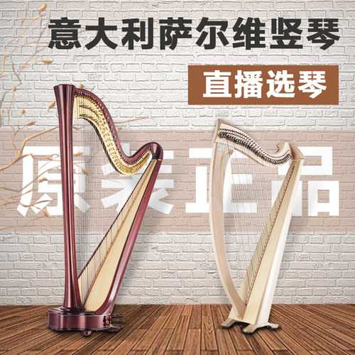 原装意大利萨尔维salvi竖琴专业