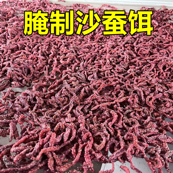 腌制沙蚕海钓腌制沙蚕钓饵