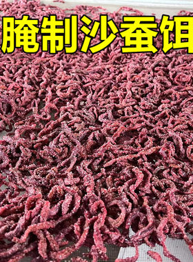 腌制沙蚕海钓腌制沙蚕钓饵