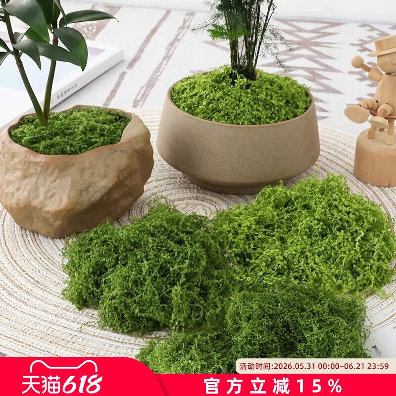 仿真苔藓草皮仿生人造假青苔微景观布置摆件草坪盆景盆栽铺面造景