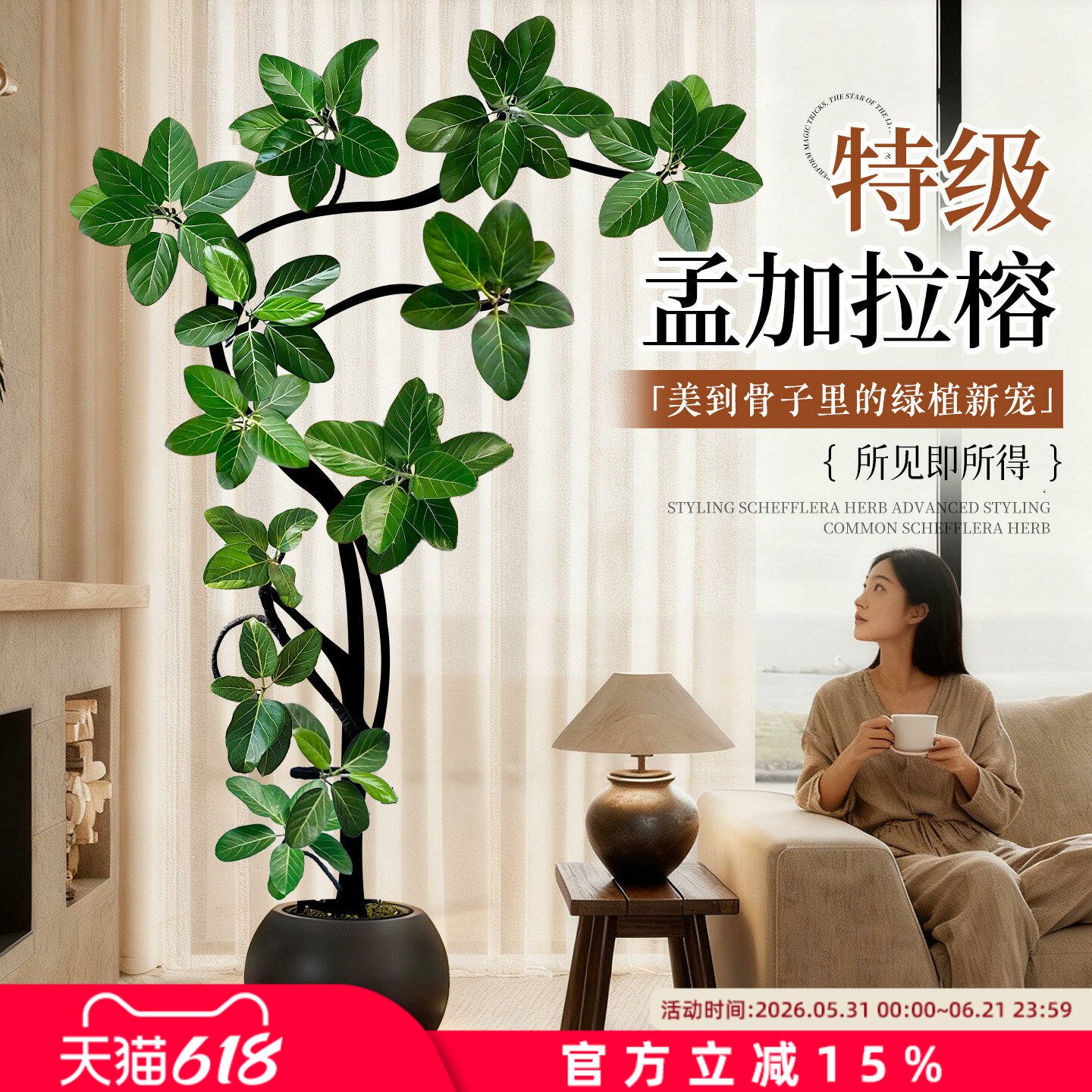 孟加拉榕树客厅绿植高级感高端大气上档次室内大型盆栽好养黄金榕