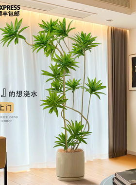 百合竹彷真绿色植物盆栽大型室内装饰花客厅摆件落地树高级彷生假