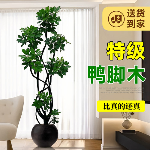 仿真绿植鸭脚木高端轻奢盆栽