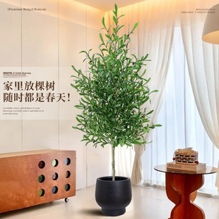 假植物轻奢仿真油橄榄树室内绿植家居装饰盆栽摆件门店园艺造景