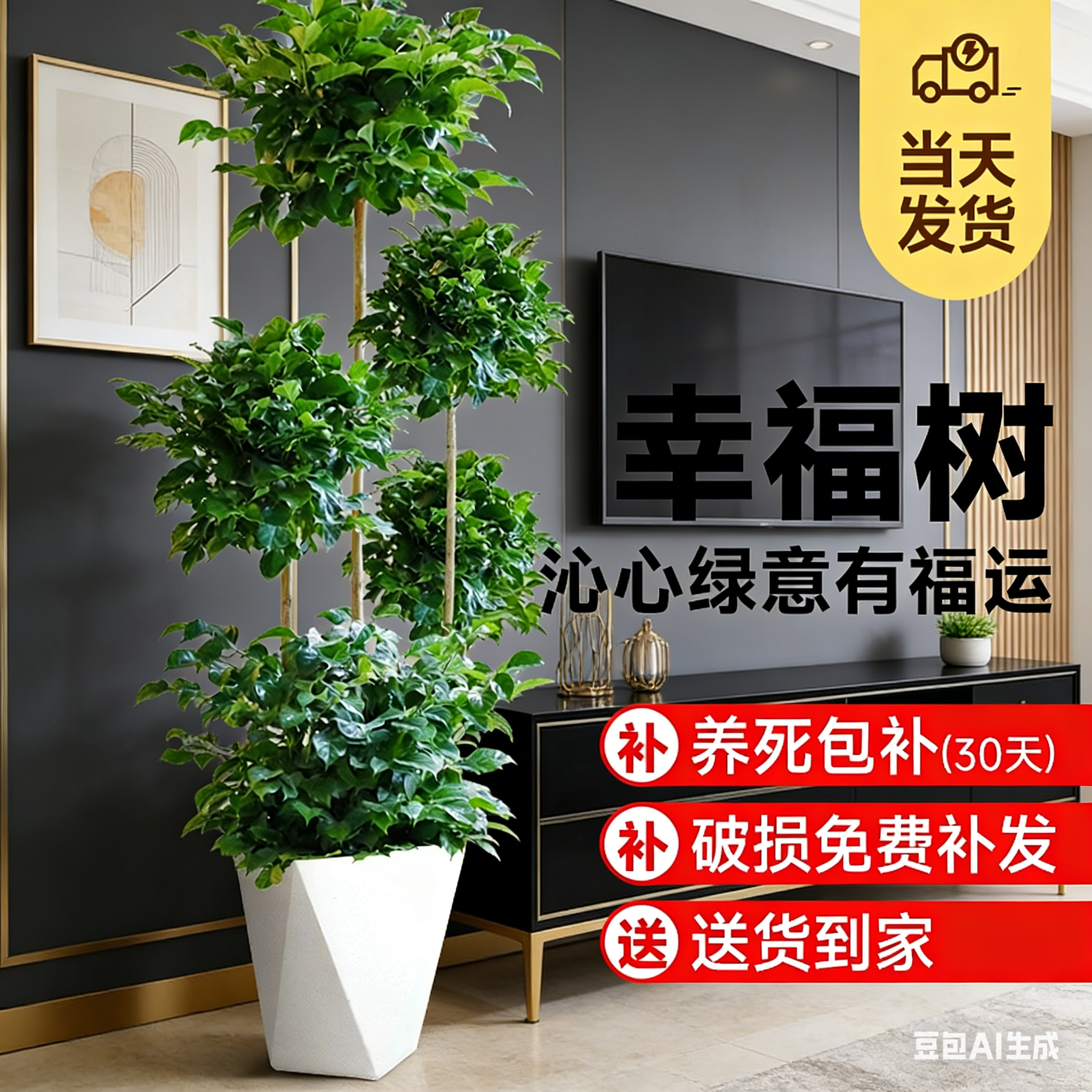 幸福树客厅大型盆栽绿植物室内落地老桩高级感盆景平安树四季好养