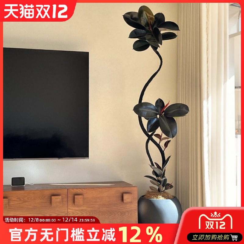 黑金刚橡皮树仿真绿植高端轻奢