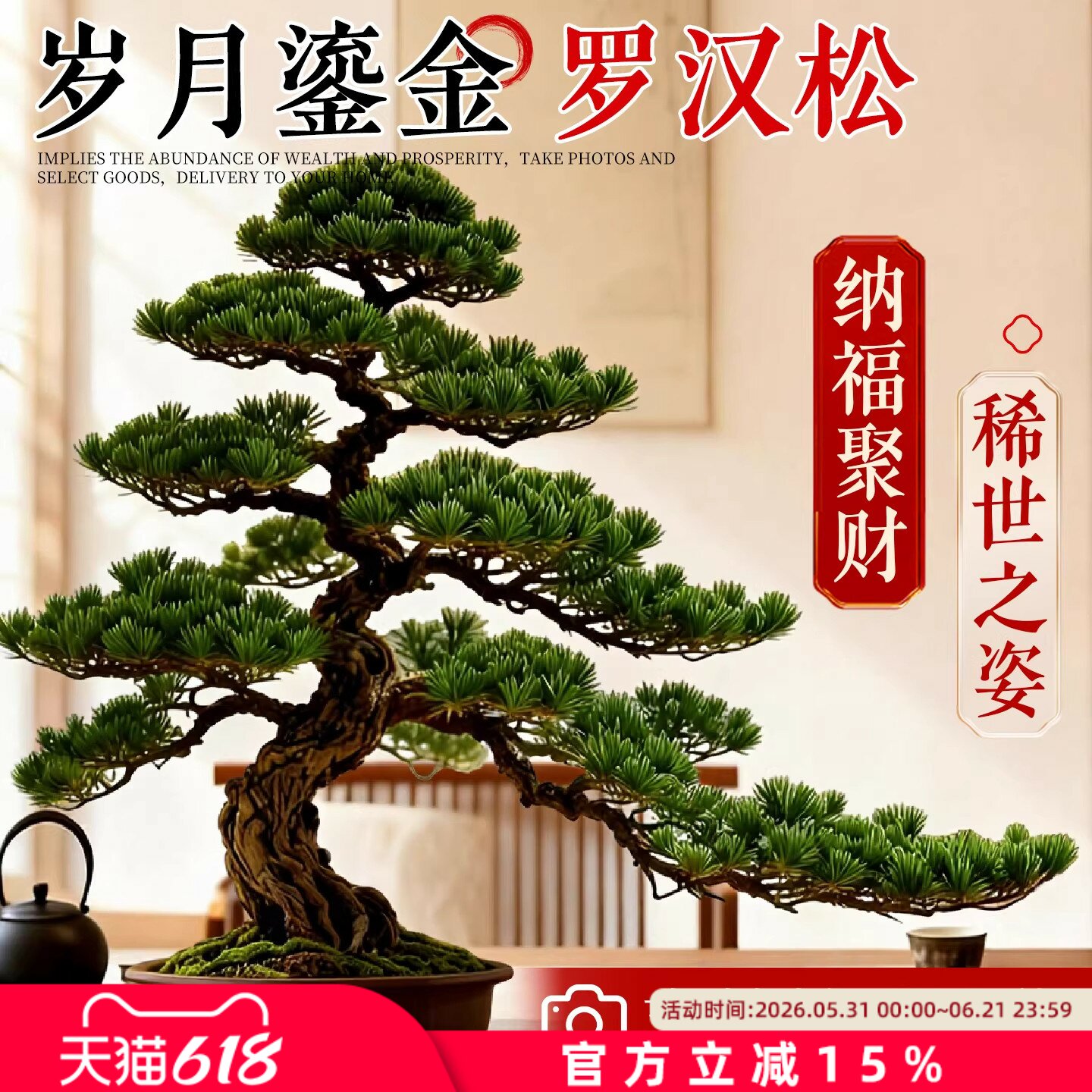 正宗罗汉松盆景绿植庭院临水式造型树老桩室内客厅迎客松小型真树