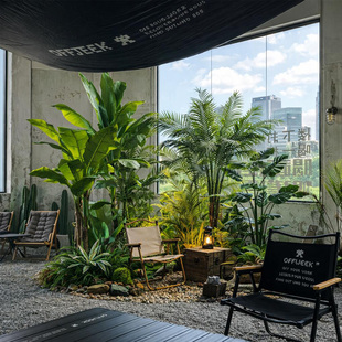 绿植造景仿真植物网红小院造景阳台室内室外露营风花园装饰布置