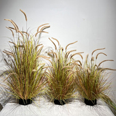 芦苇草彷真花蒲苇假花绿植盆栽室内花箱装 饰猫尾巴草彷真花造景