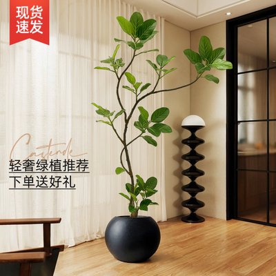 仿真孟加拉榕树绿植高端轻奢