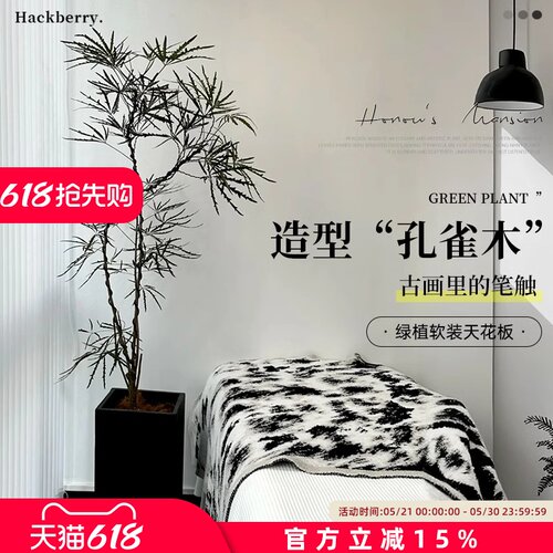 孔雀木绿植大型盆栽办公室内大花盆客厅好养网红落地大号植物真树