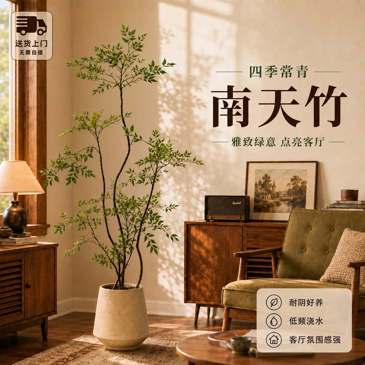 【拍照选货】南天竹客厅绿植图片