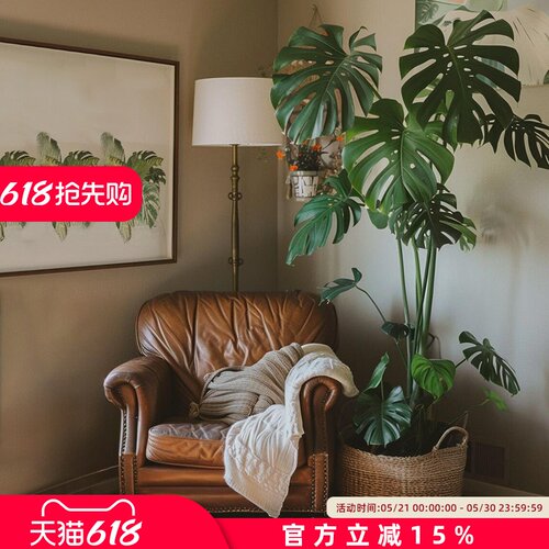 龟背竹仿真绿植高端轻奢客厅办公室仿生植物盆栽落地摆件装饰假树