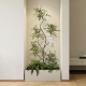模拟绿色植物南地竹景观组合窗入口装 饰假植物景观庭院布局氛围树