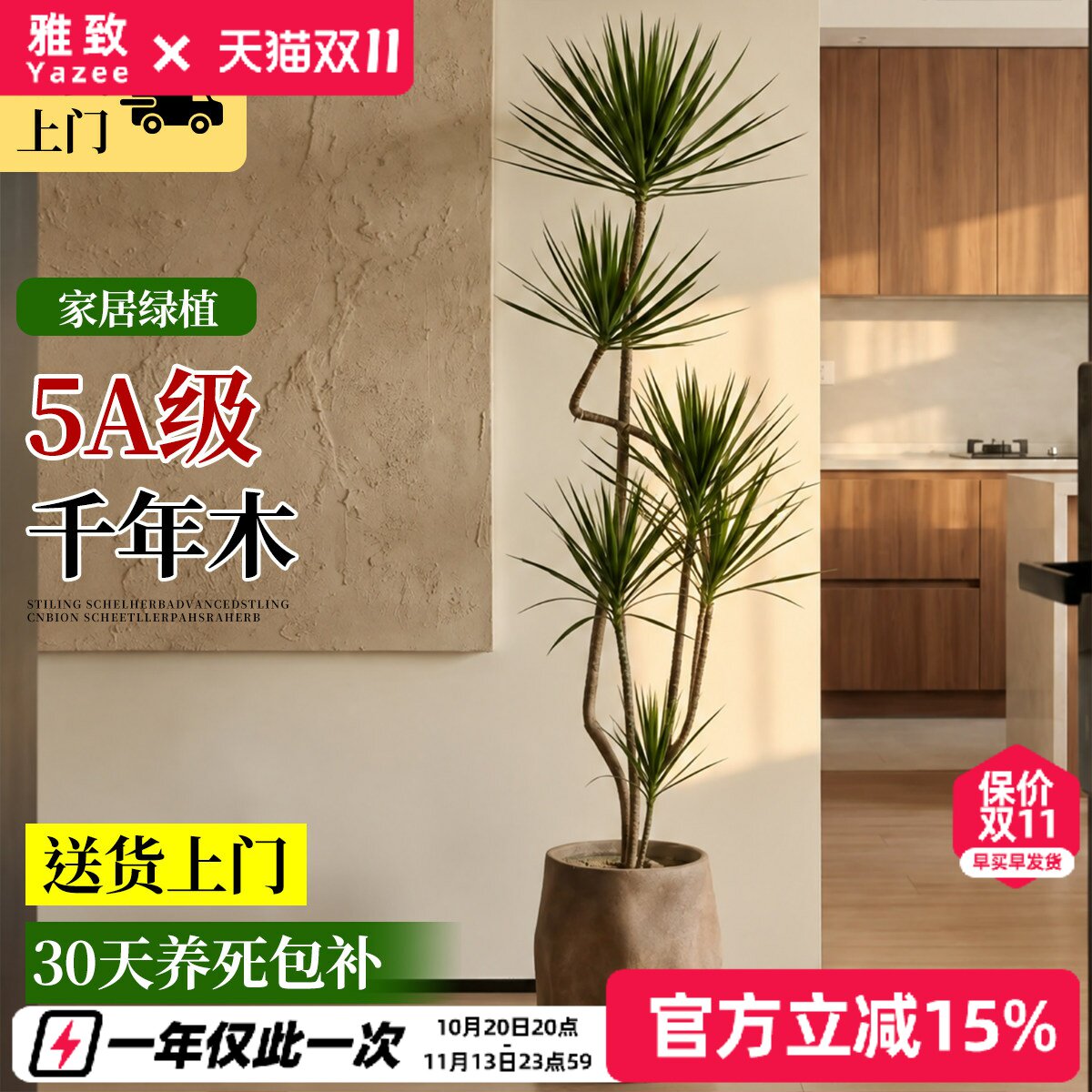 客厅绿植千年木大盆栽七彩铁高级感室内落地式大型物四季常青盆景