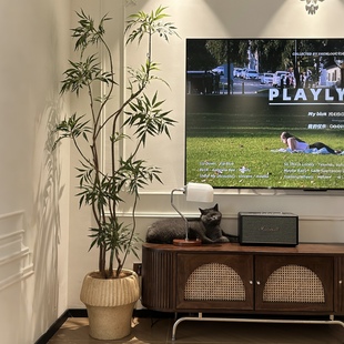 中古风仿真绿植室内十大功劳假树高端轻奢假植物侘寂风装饰摆件