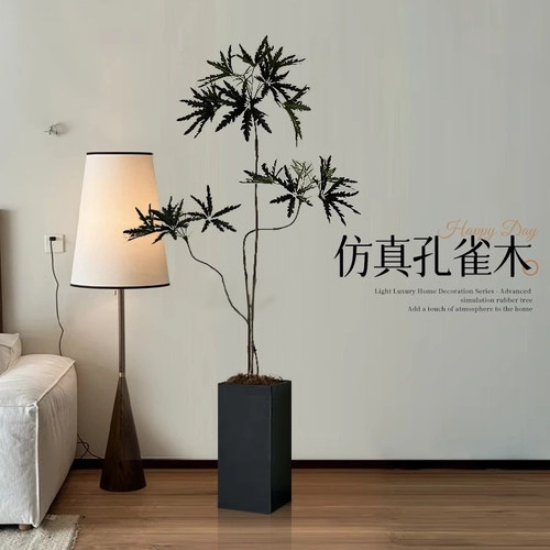孔雀木仿生绿植客厅氛围树盆栽