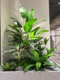 模拟绿色植物造景装 饰摆件假绿色植物网红室内入口大型景观造景楼