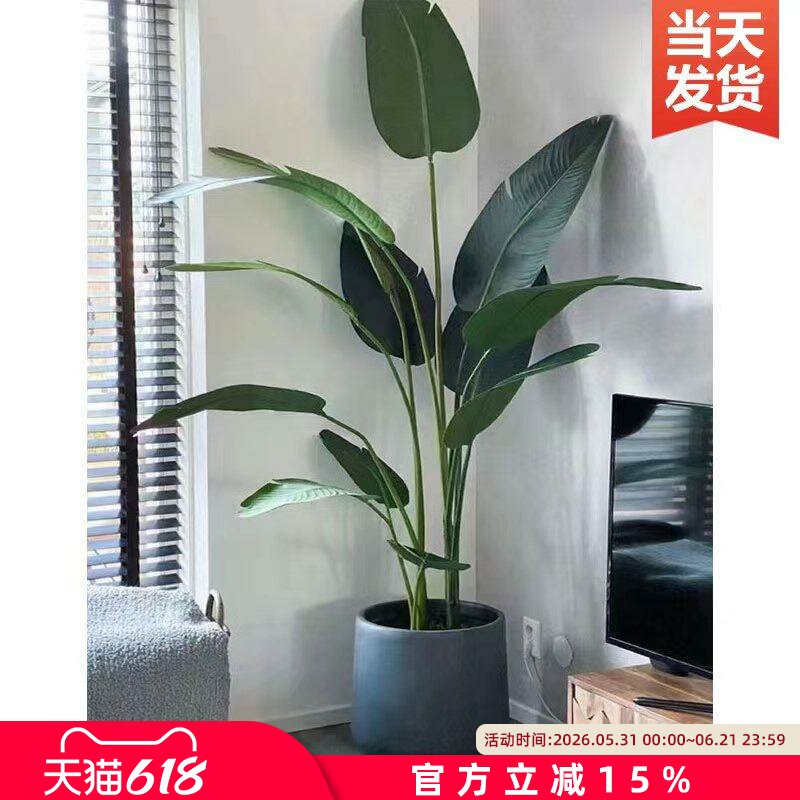 仿真绿植假植物旅人蕉大型盆栽花摆设室内仿生绿植装饰树天堂鸟