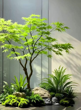 仿真绿枫树鸡爪槭枯山水盆景假树落地摆件茶室室内绿植造景装饰