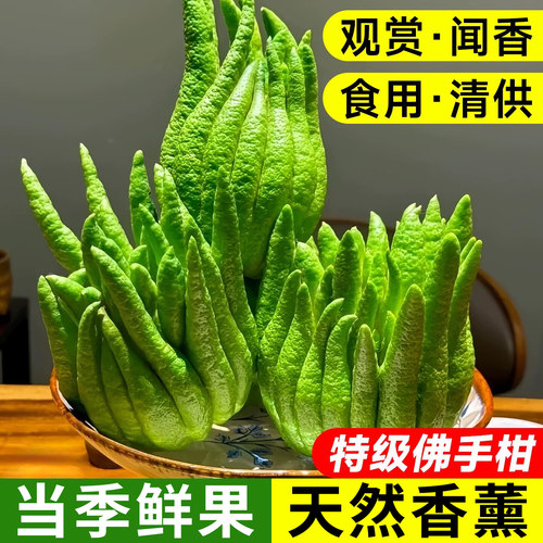 佛手柑鲜果新鲜佛手瓜切室内摆件