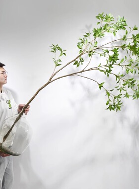 马醉木彷真绿色植物高端轻奢吊钟假树室内落地盆栽橱窗摆件装饰插