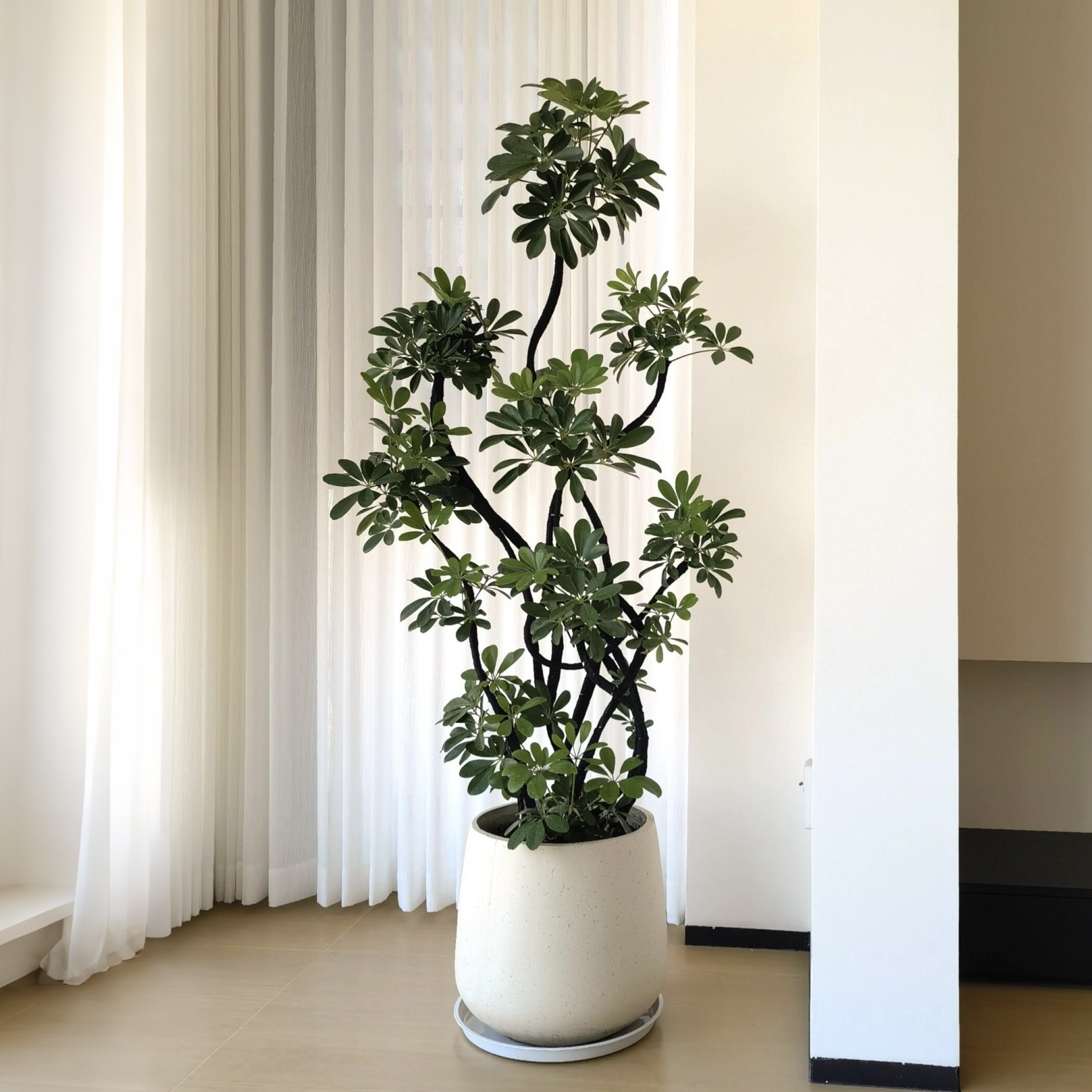仿真绿植鸭脚木高端轻奢盆栽办公室装饰摆件客厅落地仿生假树植物