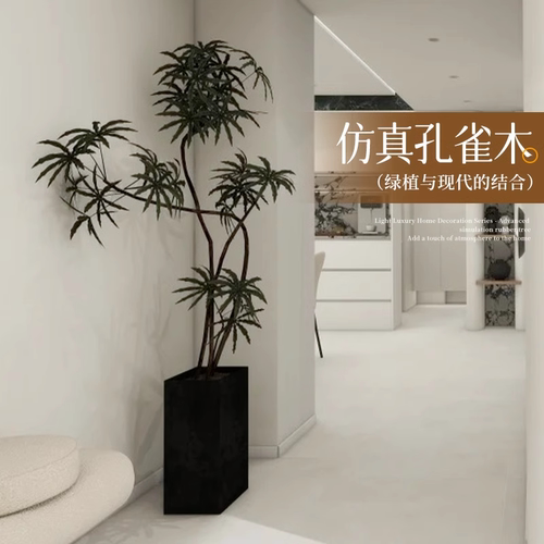 仿真绿植盆栽孔雀木落地装饰摆件