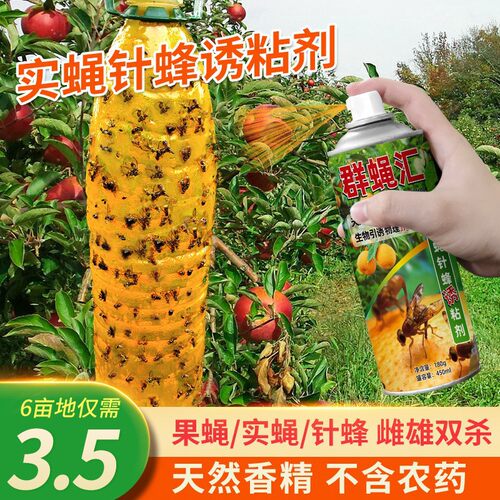 群蝇汇瓜果实蝇诱粘剂昆虫果蝇药黄板双面粘虫FX