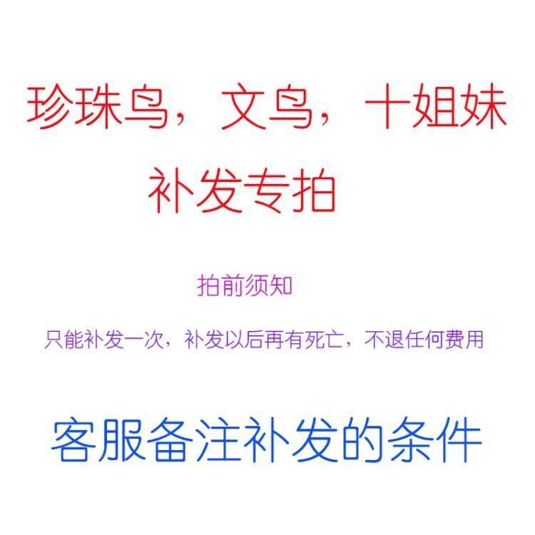 珍珠鸟文鸟十姐妹运费包装费补发专拍,宠物/宠物食品及用品,鸟窝,淘宝优惠券,粉丝福利购,淘宝优惠卷