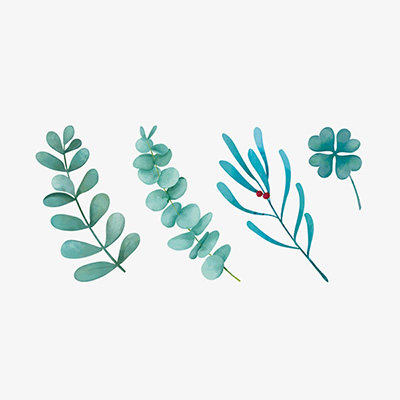 桃山纹身贴春夏青色树叶叶子小清新文艺锁骨防水纹身贴