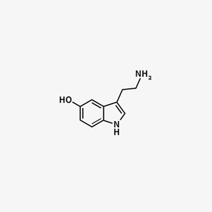 血清素神经传递素化学分子式学霸校园风男女防水仿真刺青纹身贴纸