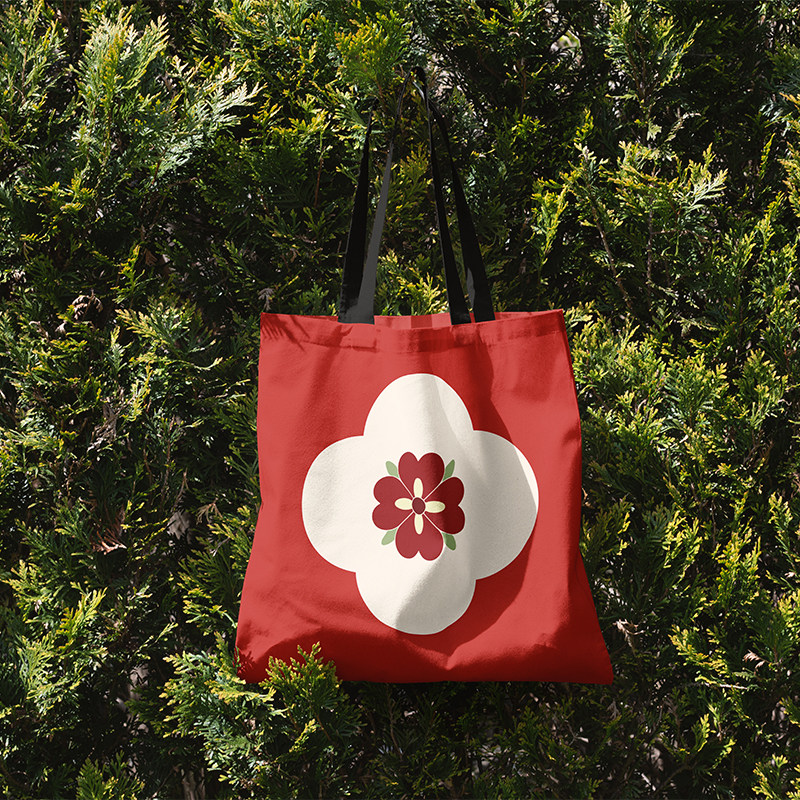 原创定制棠韵红色帆布袋小众单肩帆布包多色印花优雅百搭手提袋