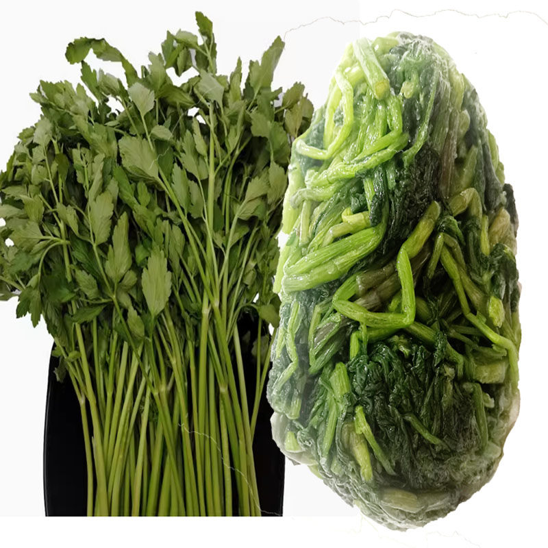 冷冻新鲜水芹菜东北野菜山菜炒肉凉拌菜玻璃叶饼菜料多地端午包邮