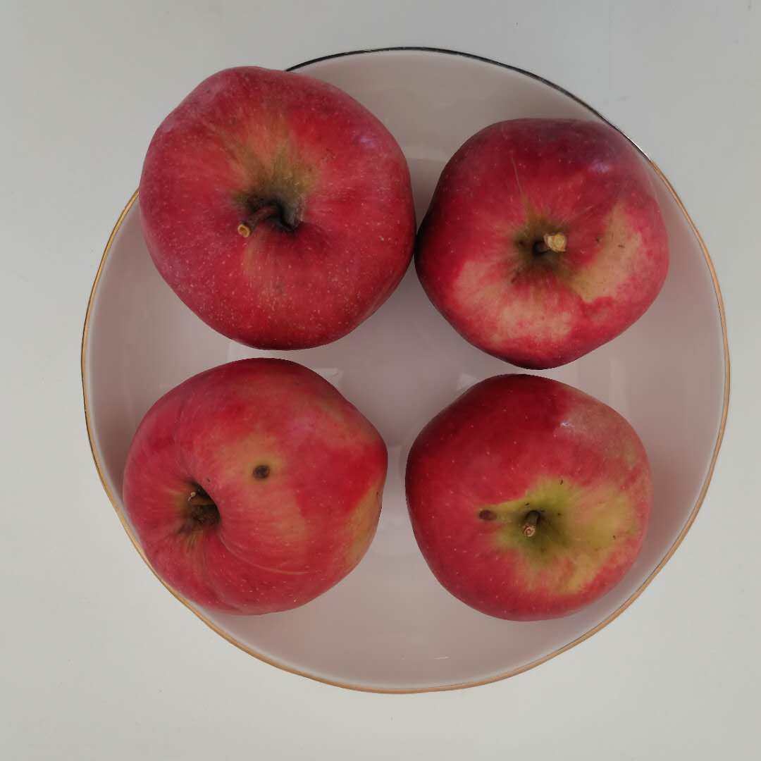 红肉苹果东北红色之爱瑕疵苹果红心圣诞苹果酸甜翠果6果孕妇吃