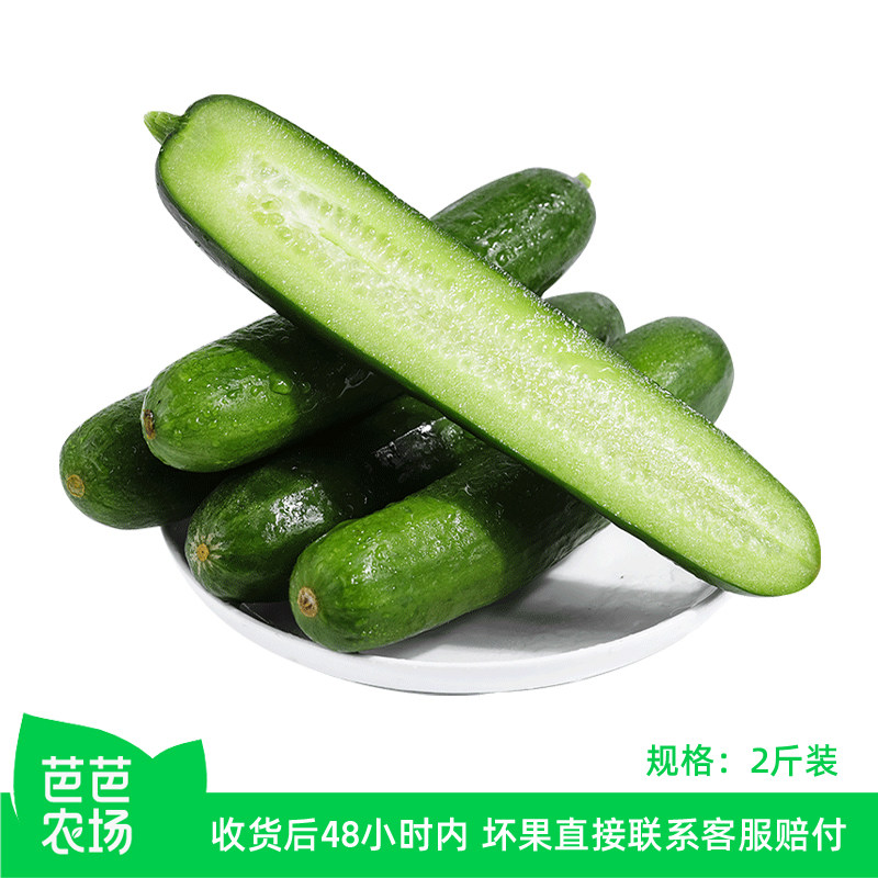 【芭芭农场兑换】水果黄瓜2斤  口感清脆 收货后及时放冰箱保存