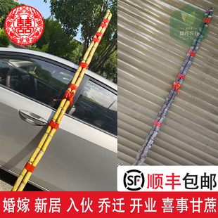 结婚新居搬家喜事吃新鲜带头尾现挖现发青黄皮黄金甘蔗婚嫁整根