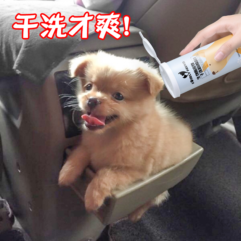 ¹·¹·¸ÉÏ´·Û