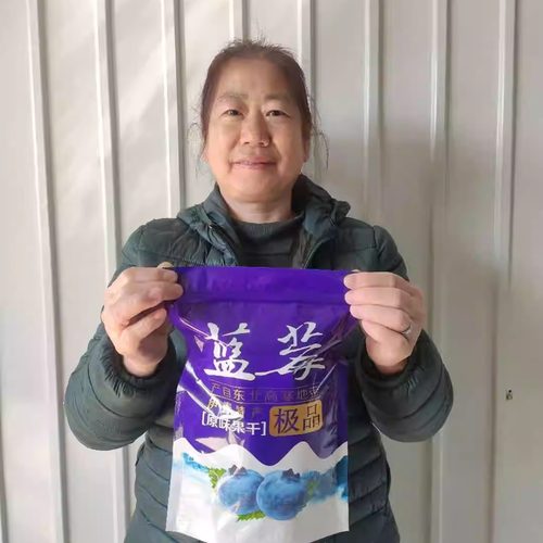 蓝莓干小兴安岭特产东北伊春特产酸甜可口我母亲代言小包装随机发