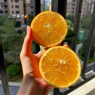 正宗赣南脐橙新鲜橙子江西会昌鲜橙 (11月3日发货)